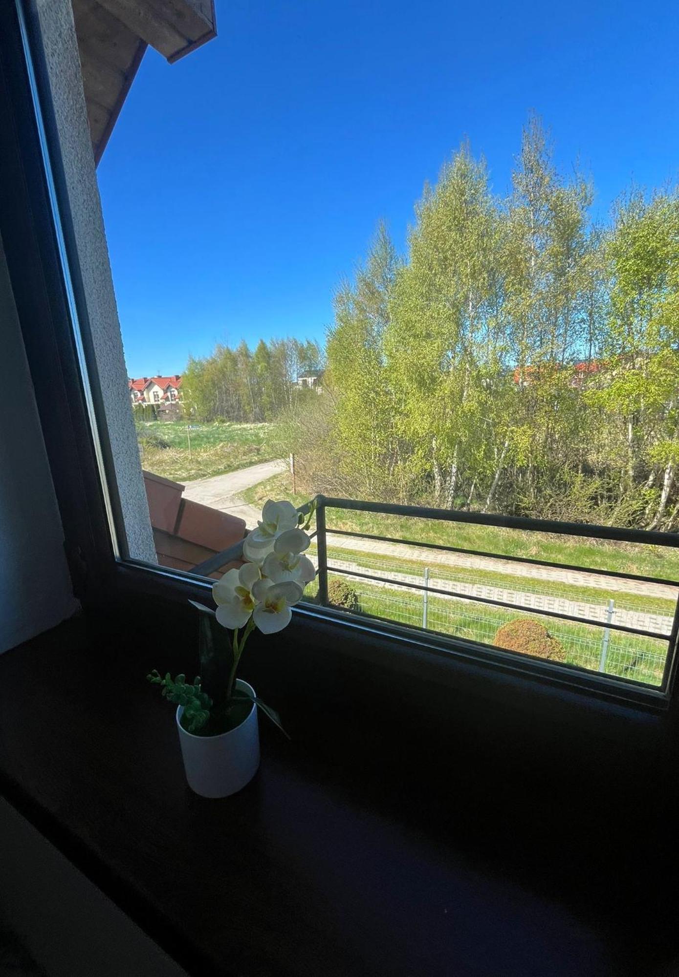 Apartamenty Adrenja Rowy  Exteriér fotografie
